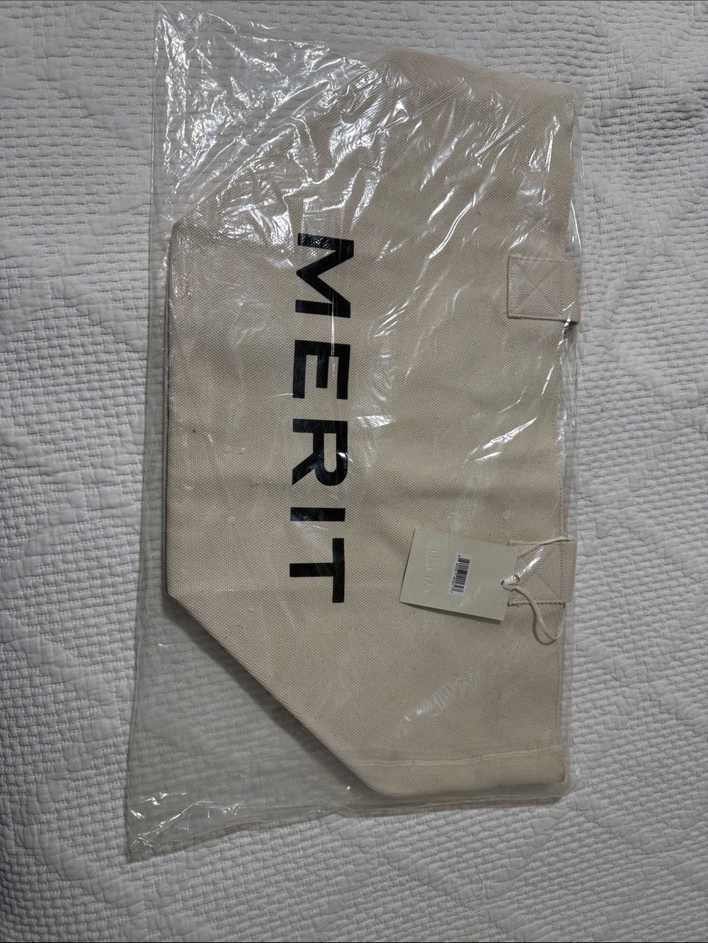 MERIT The Everything BagCanvas Tote in Beige